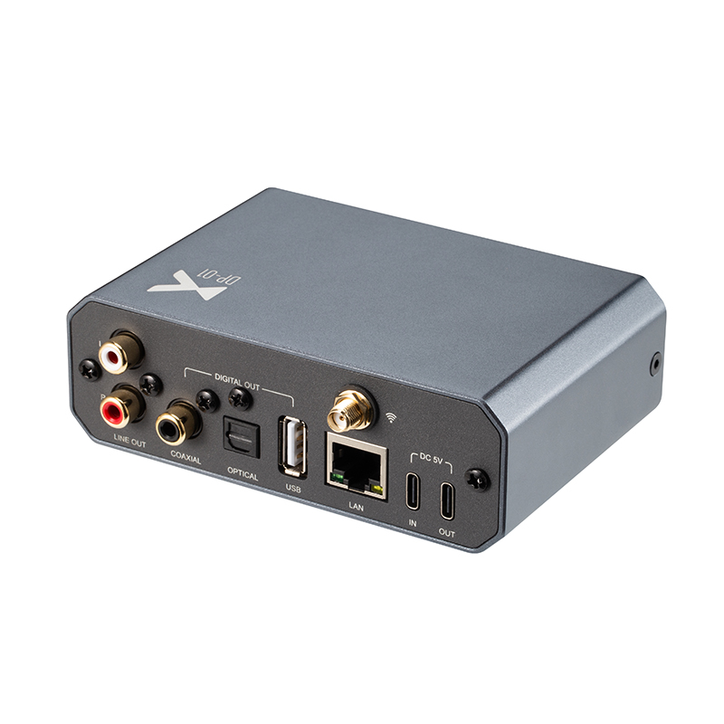 مشغل موسيقى xDuoo DP-01 بدون ف - مراجعة Audio Without Music وسعره